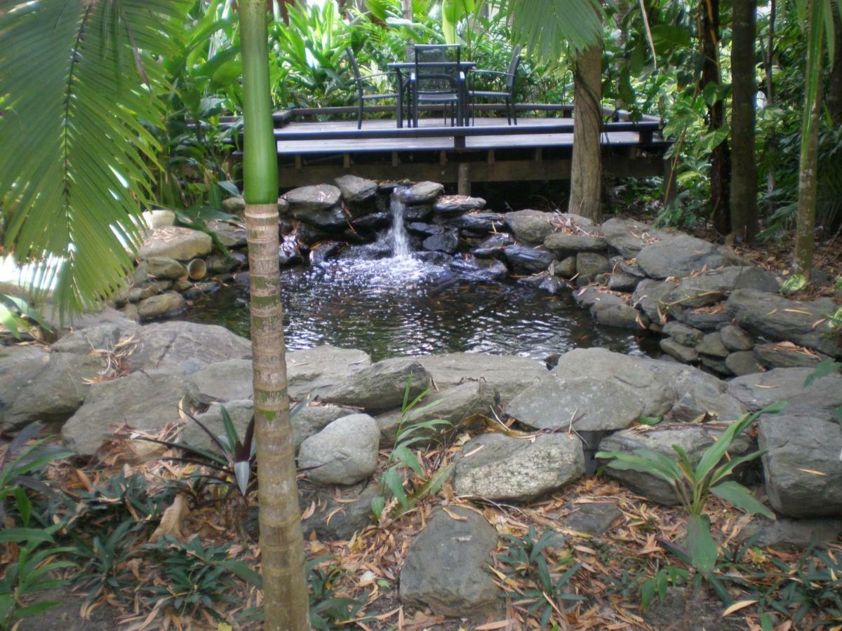 Hidden Gem @ Palm Cove Lejlighed Eksteriør billede